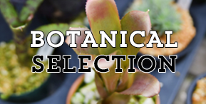 BOTANICAL SELECTION